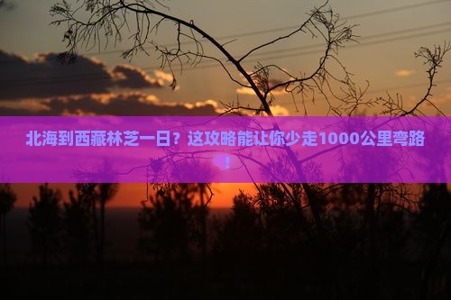 北海到西藏林芝一日