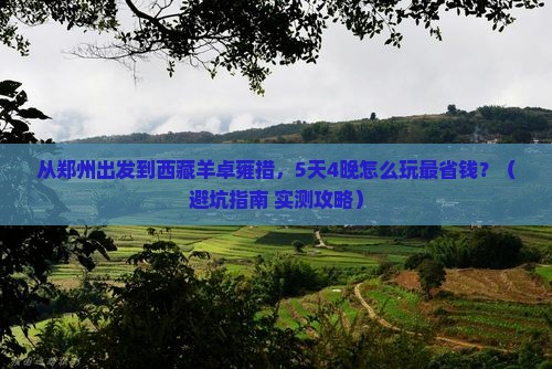 郑州到西藏羊卓雍措门票