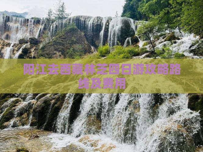 阳江去西藏林芝四日游