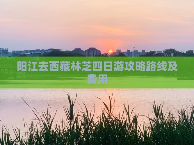 阳江去西藏林芝四日游