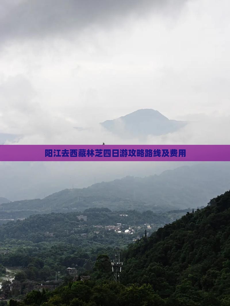 阳江去西藏林芝四日游