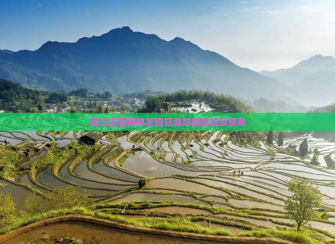 阳江去西藏林芝四日游