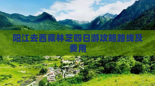 阳江去西藏林芝四日游