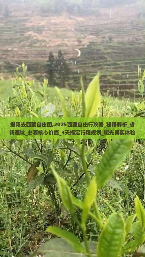 揭阳去西藏自由团