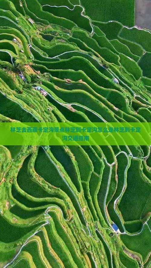 林芝去西藏卡定沟景点