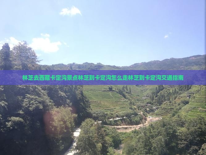 林芝去西藏卡定沟景点