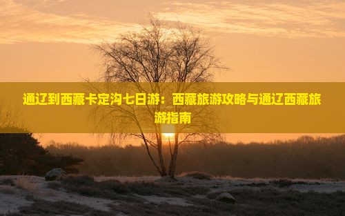 通辽市到西藏卡定沟七日游 通辽市到西藏卡定沟七日游
