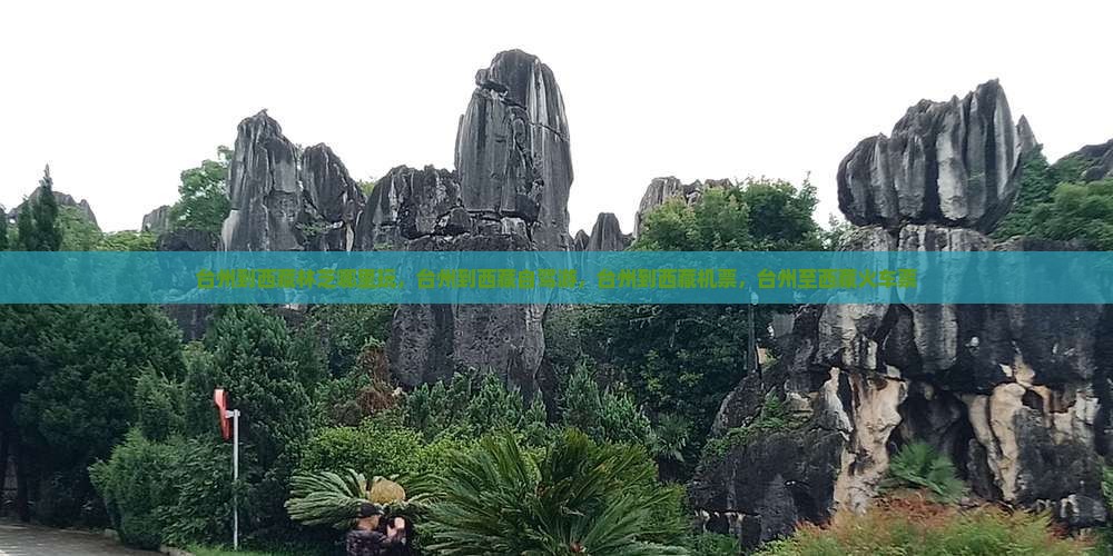 台州到西藏林芝哪里玩