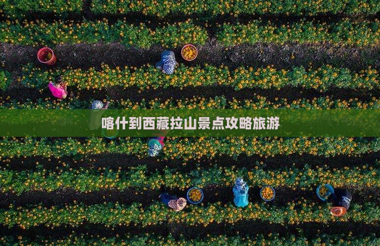 喀什到西藏色季拉山团体旅游