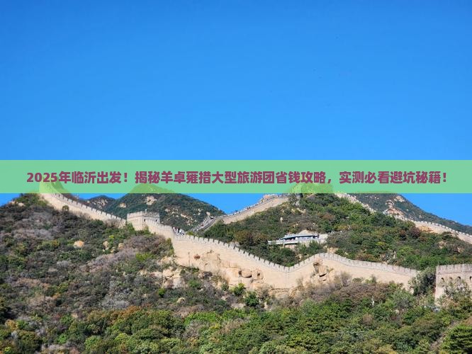 临沂去西藏羊卓雍措大型旅游团