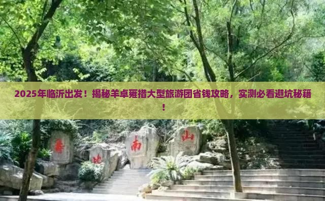 临沂去西藏羊卓雍措大型旅游团