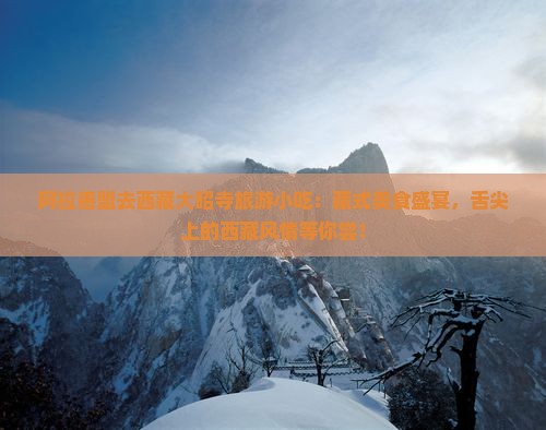 阿拉善盟去西藏大昭寺旅游小吃