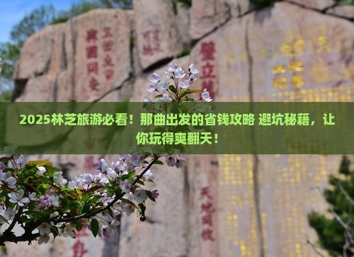 那曲去西藏林芝旅行社