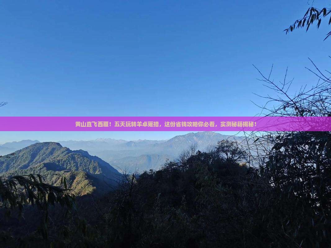 黄山到西藏羊卓雍措五日游