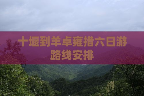 十堰到西藏羊卓雍措六日游