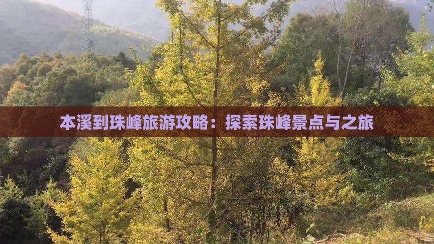 本溪到西藏珠峰大本营旅游 本溪到西藏珠峰大本营旅游