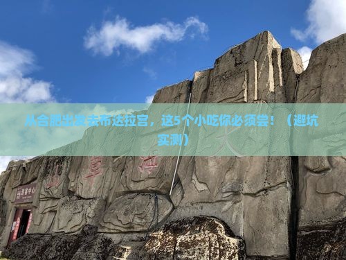 合肥去西藏布达拉宫旅游小吃