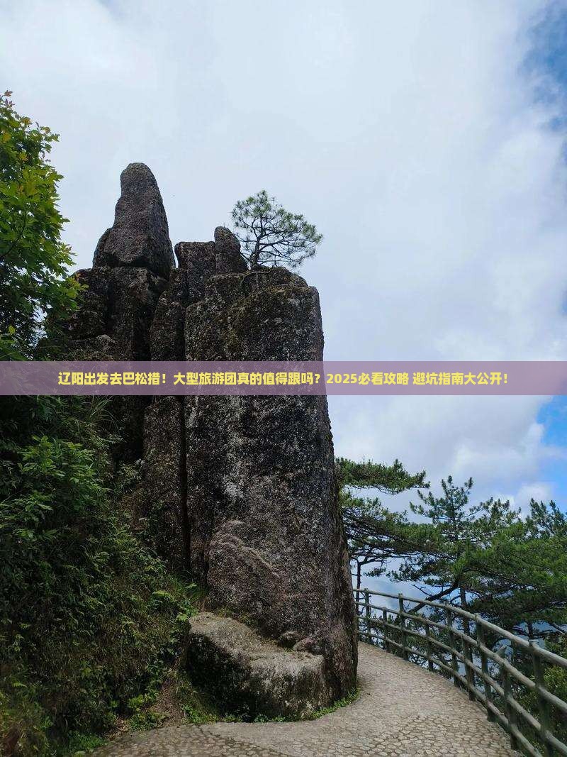辽阳去西藏巴松措大型旅游团
