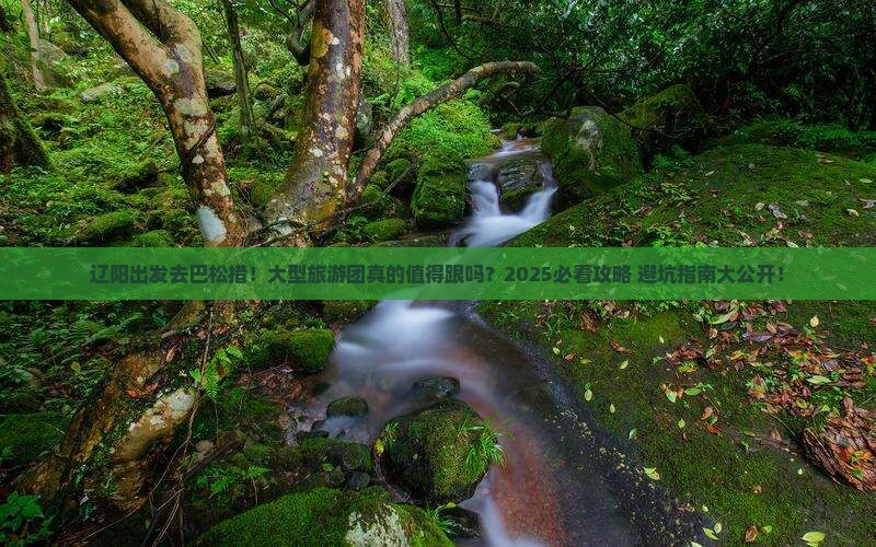 辽阳去西藏巴松措大型旅游团
