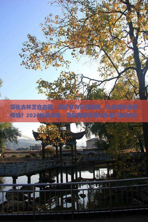 绥化去西藏林芝自由团