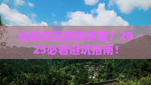 仙桃去西藏攻略