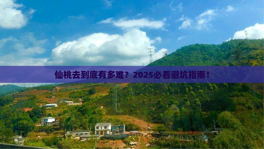 仙桃去西藏攻略
