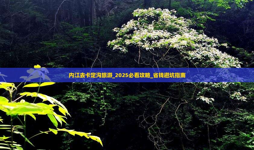 内江去西藏卡定沟旅游