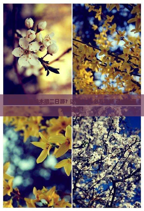临汾去西藏纳木措二日游