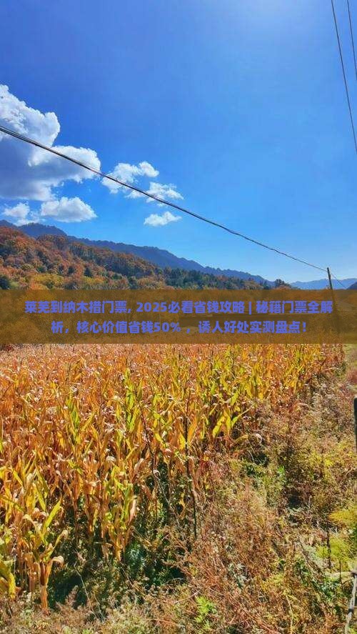 莱芜到西藏纳木措门票