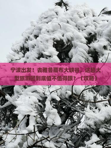 宁波到西藏雅鲁藏布大峡谷大型旅游团