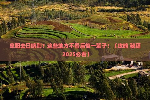 阜阳到西藏日喀则必去地