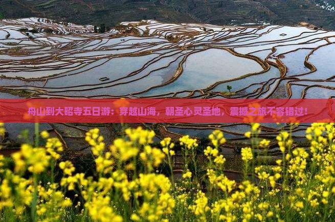 舟山到西藏大昭寺五日游