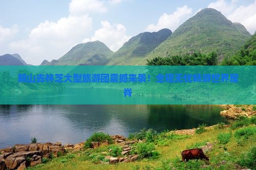 鞍山去西藏林芝大型旅游团