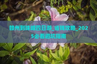 赣州到西藏珠峰大本营四日游