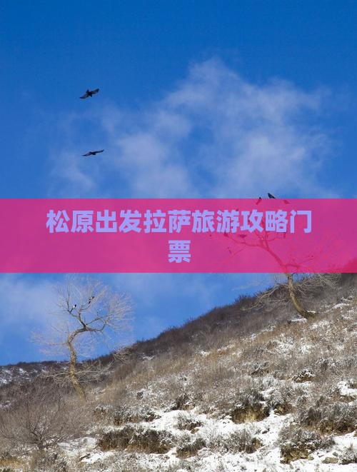 松原到西藏拉萨门票