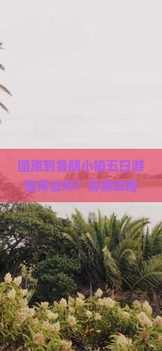 固原到西藏鲁朗小镇五日游
