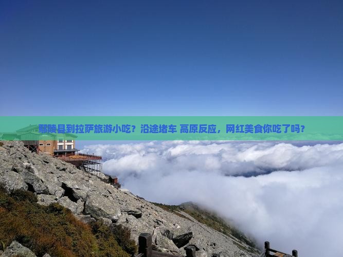 鄢陵县到拉萨旅游小吃？沿途堵车+高原反应，网红美食你吃了吗？