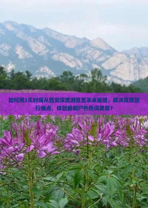 如何用3天时间从西安深度游览至羊卓雍措，解决高原旅行痛点，体验最新户外热词美景？
