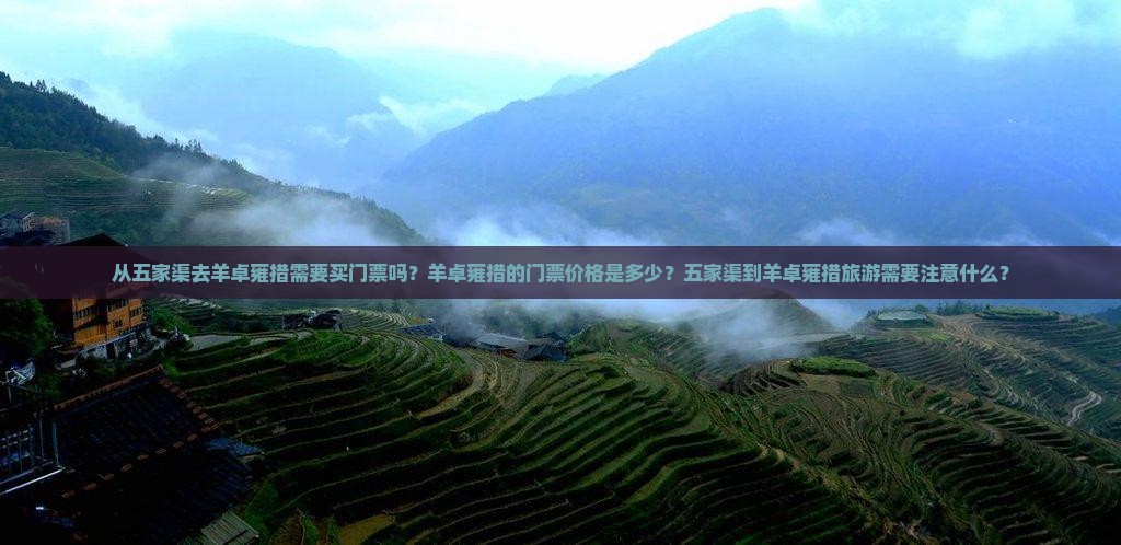 从五家渠去羊卓雍措需要买门票吗？羊卓雍措的门票价格是多少？五家渠到羊卓雍措旅游需要注意什么？