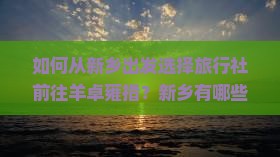 如何从新乡出发选择旅行社前往羊卓雍措？新乡有哪些旅行社提供前往羊卓雍措的旅游服务？
