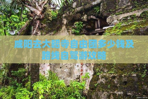 咸阳去大昭寺自由团多少钱及路线自驾游攻略