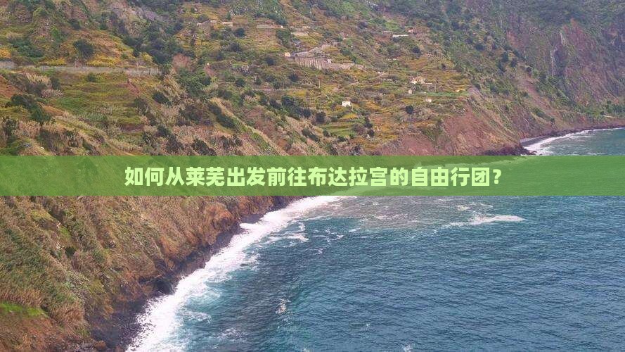 如何从莱芜出发前往布达拉宫的自由行团？