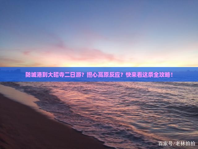防城港到大昭寺二日游？担心高原反应？快来看这条全攻略！