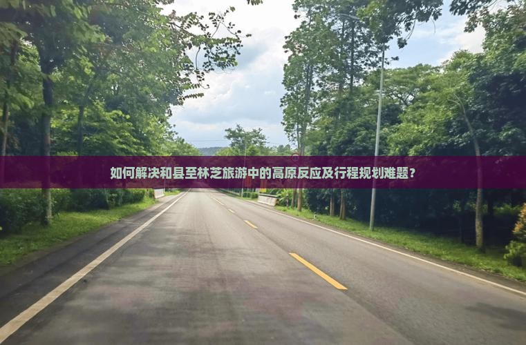 如何解决和县至林芝旅游中的高原反应及行程规划难题？