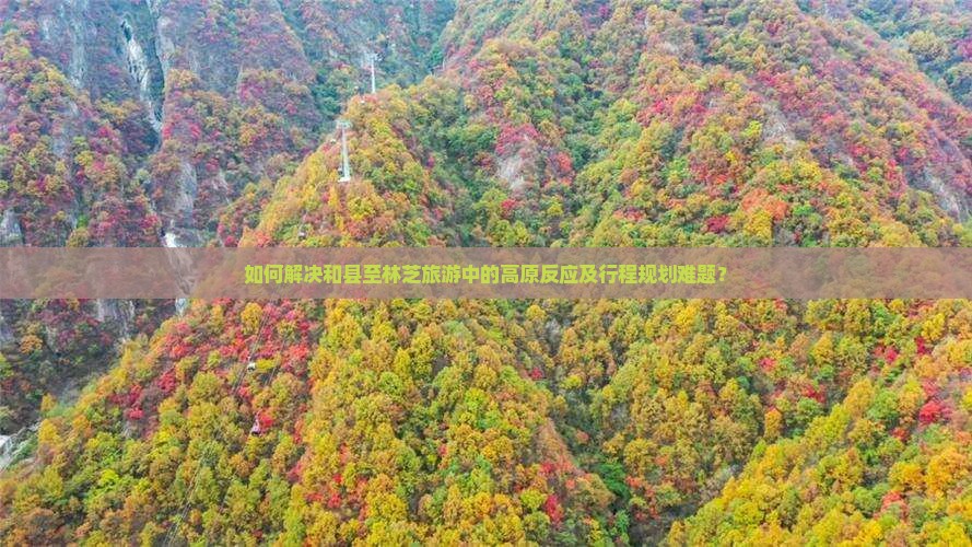 如何解决和县至林芝旅游中的高原反应及行程规划难题？