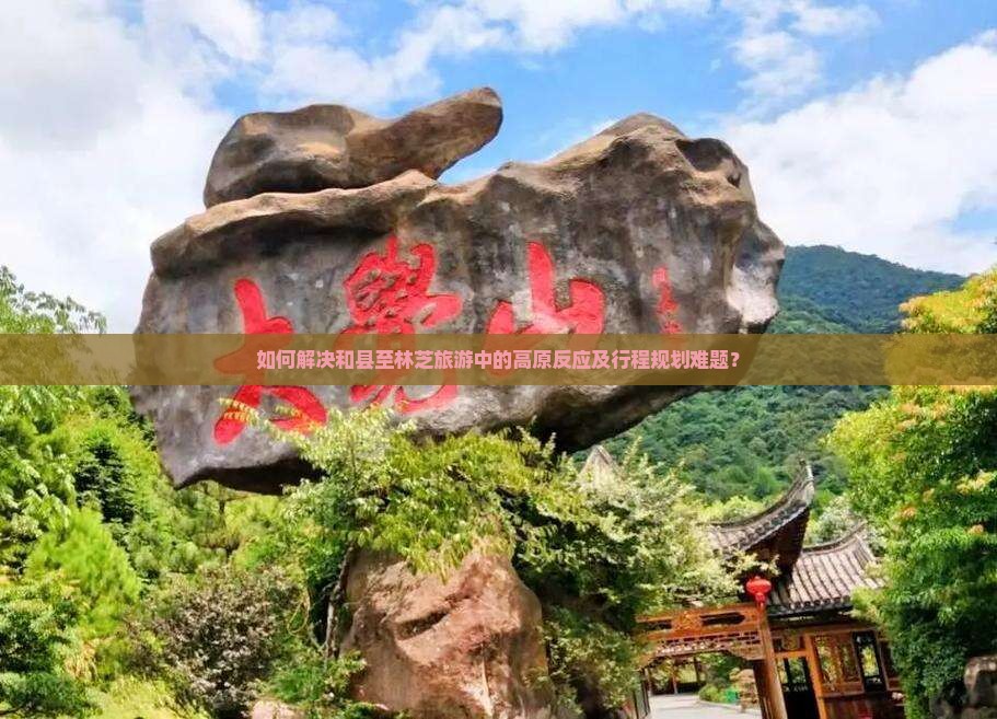 如何解决和县至林芝旅游中的高原反应及行程规划难题？