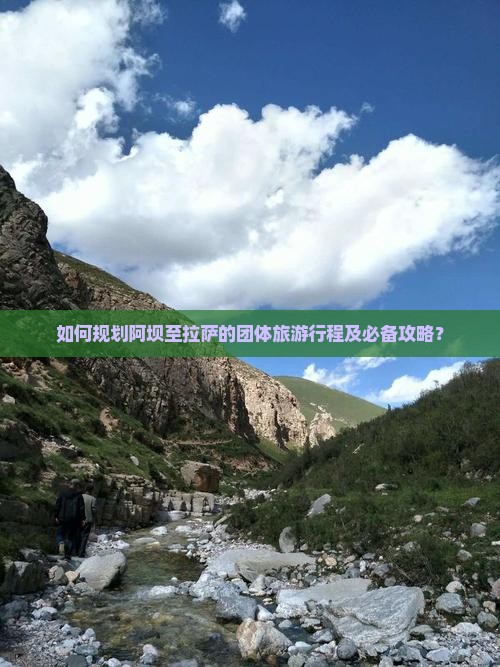 如何规划阿坝至拉萨的团体旅游行程及必备攻略？