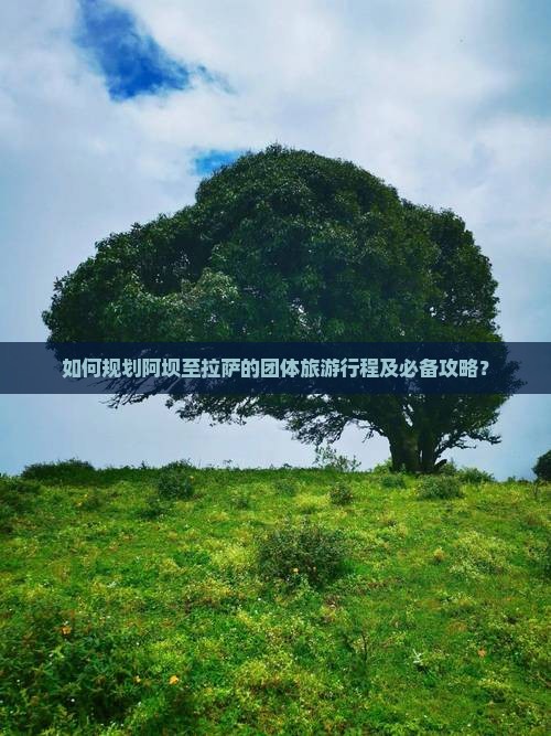 如何规划阿坝至拉萨的团体旅游行程及必备攻略？