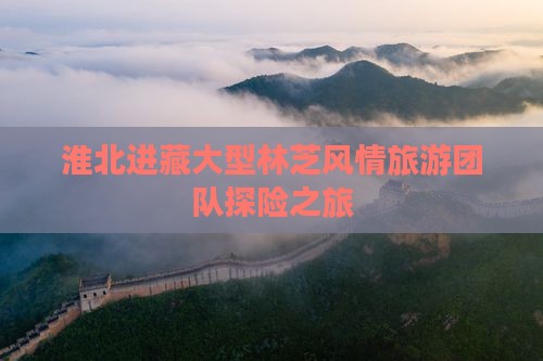 淮北进藏大型林芝风情旅游团队探险之旅