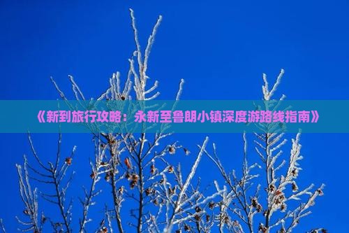 《新到旅行攻略：永新至鲁朗小镇深度游路线指南》